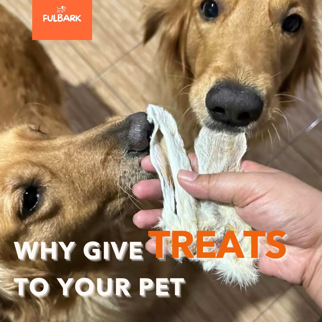 ขนมขัดฟันสุนัข ขนมขัดฟันแมว และอาหารสุนัขคุณภาพสูง สูตร All Natural จาก Fulbark เพื่อสุขภาพที่ดีของสัตว์เลี้ยงที่คุณรัก