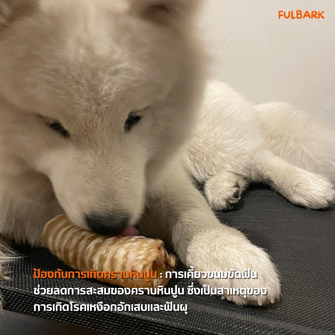 ขนมขัดฟันสุนัข ขนมขัดฟันแมว และอาหารสุนัขคุณภาพสูง สูตร All Natural จาก Fulbark เพื่อสุขภาพที่ดีของสัตว์เลี้ยงที่คุณรัก