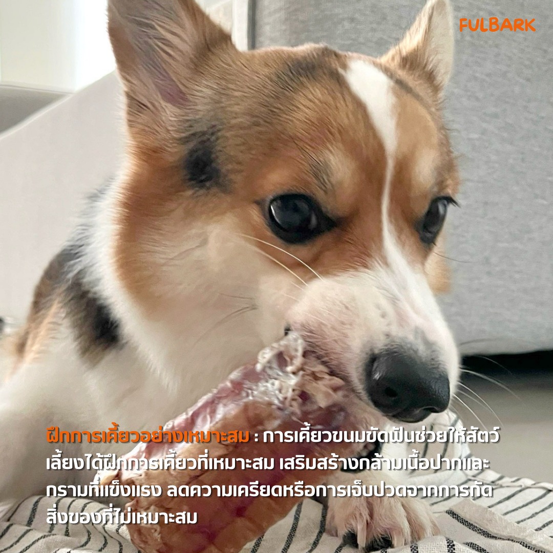 ขนมขัดฟันสุนัข ขนมขัดฟันแมว และอาหารสุนัขคุณภาพสูง สูตร All Natural จาก Fulbark เพื่อสุขภาพที่ดีของสัตว์เลี้ยงที่คุณรัก