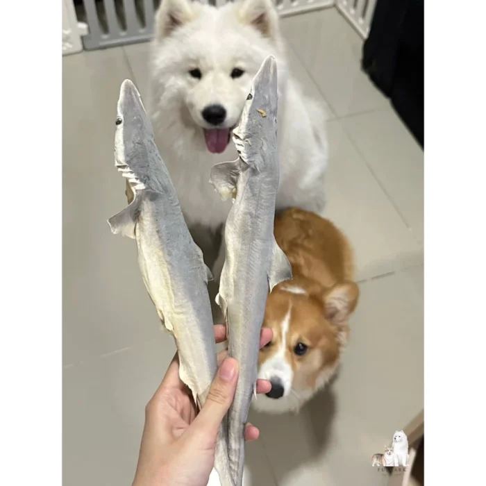 ฉลามอบแห้ง Fulbark | ขนมขัดฟันสุนัข-แมว ปลาแท้ ธรรมชาติ 100% - Image 6