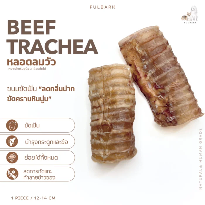 หลอดลมวัวอบแห้ง Fulbark ขนมขัดฟันสุนัข ธรรมชาติ 100% - Image 5