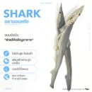 ฉลามอบแห้ง Fulbark | ขนมขัดฟันสุนัข-แมว ปลาแท้ ธรรมชาติ 100%