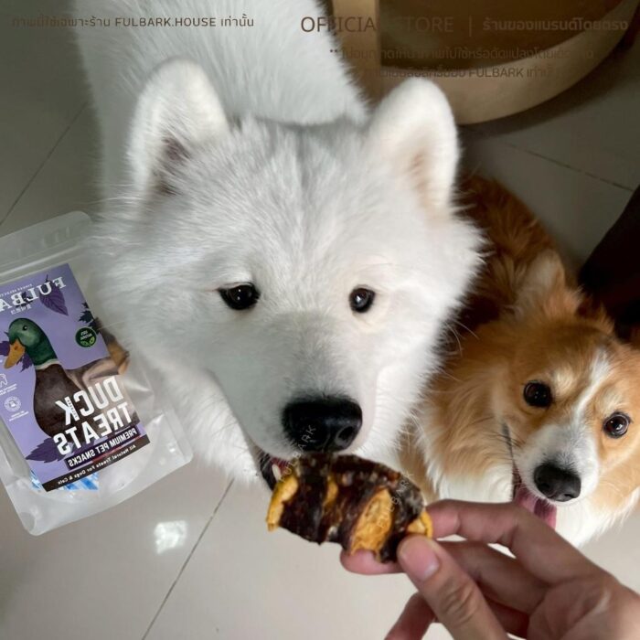 FULBARK อกเป็ด+ผลไม้ลูกแพร์ ขนมสุนัข-ขนมแมว Premium Natural 100% โปรตีนสูง ไขมันต่ำ ย่อยง่าย สำหรับสุนัขและแมว ขนาด 100g. รสชาติพันผลไม้ วิตามินจากผลไม้ สำหรับสัตว์เลี้ยงที่มีระบบย่อยอ่อนแอหรือแพ้ง่าย - Image 3