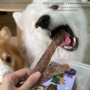 FULBARK อกเป็ดอบแห้ง ขนมสุนัข-ขนมแมว 100% Natural เกรดพรีเมียม โปรตีนสูง ไขมันต่ำ ย่อยง่าย ขนาด 100g สำหรับสุนัขและแมวทุกสายพันธุ์ อายุ 3 เดือนขึ้นไป